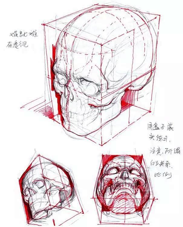 绘画干货：人体头部结构，难点解析及漫画应用