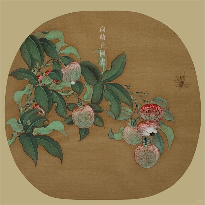 宋人小品第二期临摹示范｜荔枝图_1_向萌止国画｜小助理_来自小红书网页版