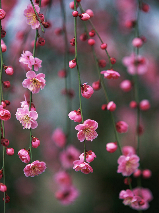 不怪缘浅情深，
情有独钟无可厚非。
相互...