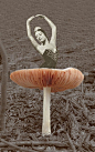 mushroom tutu