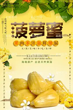  菠萝蜜   - 源文件下载【酷图网】热带水果,菠萝蜜,海报,水果,绿叶