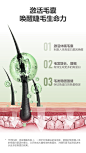 滋养毛囊