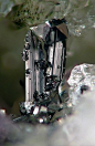 Ferberite with Quartz (by smulaxx)