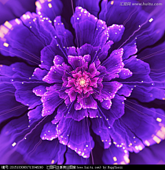 万泉兽采集到花