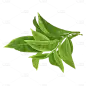 茶行业主题元素