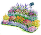 No-Fuss Bird and Butterfly Garden Plan ~ possible new plan for 2013: 