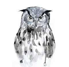 来自俄罗斯的青年插画艺术家Elena Romanova的艺术 | 思念往昔