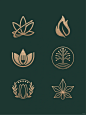 【234期】树叶/植物/花店logo设计