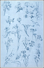 ❤ - Alphonse Mucha | Documents Decoratifs - 1901.