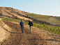 Fall 2021 Gallery | Threemile Vineyard