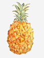 水彩菠萝免抠素材_新图网 https://ixintu.com 卡通 彩色 手绘 水彩 水果 菠萝 装饰