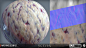 Scorn Substance Materials - Part 3