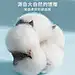 【猫人印花男士内裤】猫人男士内裤男平角裤银离子抑菌50s精梳棉印花中腰男式四角短裤头 抑菌-个性字母-3条 2XL【行情 报价 价格 评测】-京东