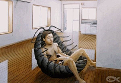 8lY9zEnd采集到超现实主义