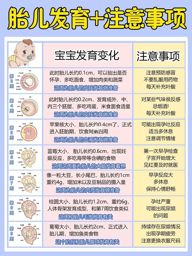 怀孕1-40周胎儿变化｜产检时间｜孕期营养 : 孕期要补充哪些营养？产检时间，孕期注意事项等，这些都是孕妈关心的问题，今天来给大家分享下，尤其 ...