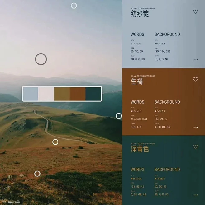 大自然的配色-花瓣网