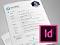 InDesign Template - Free Hexagon Vita/Resume/CV