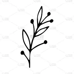 社交媒体故事手工绘制的病媒花卉元素。流行的抽象有机和图形元素