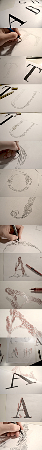 Typography / Process. Herbarium Typography // Ana Bangueses