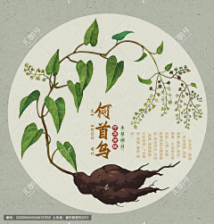 大东说采集到插画