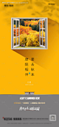 编号：20210820114052905【享设计】源文件下载-处暑节气移动端海报