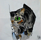 01925d5859e266a8012060c862065e.jpg@1280w_1l_2o_100sh