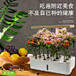 菜多多智能种植机水培水耕蔬菜家庭室内无土栽培设备芽苗菜种植箱