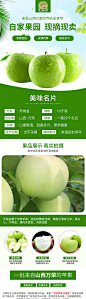 【源文件下载】电商详情页 淘宝详情页 水果 青苹果 绿色,设计作品集