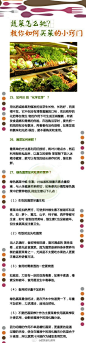 【蔬菜怎么挑才不会被骗？9张图告诉你】挑菜可是门大学问，这篇集合贴大家一定要认真看，用心珍藏哟，别被无良商贩坑了哟，学会做菜之前得先学会如何挑菜！@跟我做私房菜