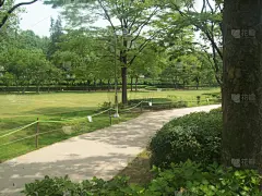 城市,首尔,韩国,水平画幅,建筑,夜晚,无人,金融,城市天际线,南