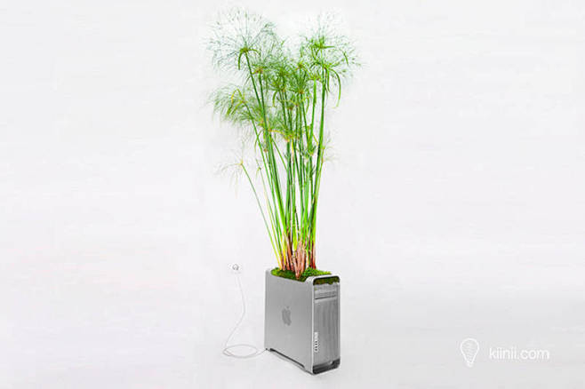经典Mac电脑遇上植物盆栽，来自巴黎艺术...