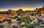 Neil Kremer在 500px 上的照片Joshua Tree