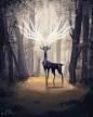 xerneas_by_mcgmark_dc80e7j-fullview