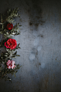 Floral wallpaper | HD photo by Annie Spratt (@anniespratt) on Unsplash : Download this photo by Annie Spratt (@anniespratt)