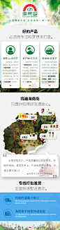 个人作品-海燕梦-2019描述海报创意品牌/运费说明图/详情页描述图#立足海南生态 打造海南一城一味#电商#天猫#椰子#粮油#椰子油辣椒酱椰子片花生油胡椒粉胡椒粒#海南地图#绿色生态#色彩#海燕梦#2019年#买买买#黎族特色#润唇#止血#无添加#椰风海韵#绿色春天#生态健康#打包发货时效#一城一味#优惠券#运费快递@花吉吉的酱°