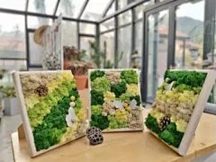 青岛设计师FM-青岛平面设计，青岛包装设计，青岛品牌设计，青岛插画设计，青岛工业设计，青岛企业文化设计，青岛UI设计，青岛室内设计，青岛宣传片设计 : 青岛设计师 FM 联盟（QDFM）由青岛城心引力科技有限公司投资运营。2018年成立至今，已举办数十场设计师活动，承接共创众多设计项目。QDFM 会员包括平面、空间、环艺、工业、UI、家纺、影视设计等细分领域的资深设计师及工作室，通过线上作品及活动展示， 线下持续举办高端设计分享会的形式，聚合青岛设计力量，帮助设计需求降本增效，帮助设计人才增值赋能。
公众