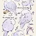 鸟鸟教集合！ - 小红书