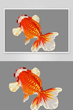 金鱼鲤鱼插图中国风水墨画手绘艺术小鱼-众图网