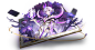 扑脸