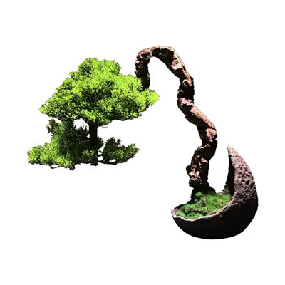 最东方仿真松树绿植苔藓微景观禅意中式日式...