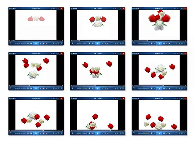 红白玫瑰纷飞背景视频fla|多媒体设计|...