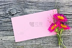 粉红色的花朵