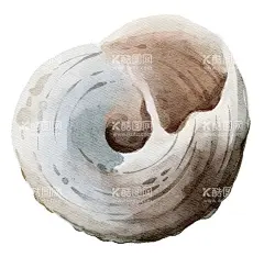 海洋元素  - 源文件下载【酷图网】海洋元素,海洋,海螺,贝壳,水彩,插画,元素,底纹,图案,PNG,免扣,设计,素材
