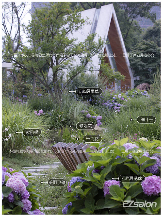 花镜2