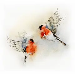 Дима Ребус 的一组手绘水彩插画 - 插画 - 意兜兜 - 专注于LOMO,设计,摄影,素材,唯美图片的收藏及原创，为广大网友提供一个唯美的家！