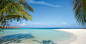 Moofushi Five Star Resort | Constance Hotels & Resorts in Maldives : Indulge in a unique 5 star experience. Set on its own secluded island the resort combines barefoot chic with the elegance of a deluxe hotel.