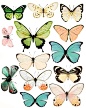 many gorgeous butterfly papers