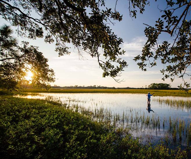 Kiawah Island Real E...