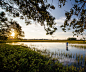Kiawah Island Real Estate | Luxury, Beachfront Property Coastal Homes : Find luxury real estate near Charleston, SC - oceanfront property, beachfront homes and golf homes in the private resort community of Kiawah Island.