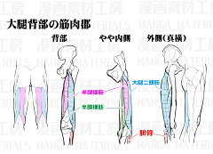 M影恩采集到人像绘画教程
